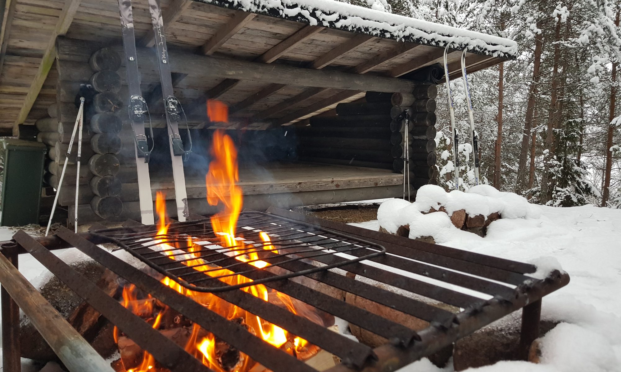 Metsälaavulla hiihtäen